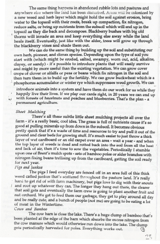 ‘The same thing happens in abandoned rubble lots and pastures and anywhers elsa where the fand has been discusbed, Arvas wiil be colonized by 2 new weed and herb layer which might hold the il against erosion, bring walur t0 the topsoil with their roots, break up compaction, fix nitrogen, ruduce valts, or bring up nutrients from the subucil which will end up in the topsail as they die back and decompose. Blackberry bushey with big old thoms will invade an area and keep everything else away while the land heals itself, Eventually, just like with the alder, trees will grow up through the blackberry vines and shade them out.  ‘We can do the same thing by building up the soil and substituting our own herb, pionevr, and dimax species. Depending upon the type of sol you- start with (which might be eroded, salted, swampy, worn out, acid, alkaline, clayay, or vandy) - it’s passiblo to introduce plants that will easily survive and might by more useful than the existing Vegetation. We can grow cover cropw of clover or alfalfa or peas or beans which fix nitrogen in the soil and then turn them in o build up the fertiity. We can grow buckwheat which is a  ! phosphorus accumulator or winter rye which suppresses weed growth. We can_  introduce animals into a system and have them do our work for us while they happily live their lives. 1 we play our card right, in 20 years we can end up with forusts of hazelnuty and peaches and blueberries. That’s the plan - a permannt agriculture.  Sheet Mulching Theres al these subtle little sheet mulching projects all over the farm - i’s a really basic, cool idea. The grass is full of nutrients cause it’s so good at pulling minerals up from down in the subsoi. It becomes obvious pretly quick that it’s a wasto of time and resources to try and pull it out of the ground and clear beds for growing stuff. IV’s much easier o just throw a thick Iayor of wet cardboard or an old carpet over an arva - wait a year - and when the Lop layer of woeds is dead and rotted back into the woil from all the heat and lack of air, then it’s time (0 sow the vegetables. Periodically | stumble ‘wpon one of Brent’s mulch spots - sets of bamboo poles or alder branches with niteogen fixing beans trelising up from the cardboard, getting the soil ready for next year, Pigs and Junkus The pigs | feed everyday are fenced off in an area full of this thick weed called junkus that’s scatterod throvighout the pasture land. Is really hazdi o get rid of with farm machinery, but pigs love to dig with their snouts 1 and root up whatever they can. The longer they hany out thare, the clearer that soil gets and eventually the farm crew is going to plant another fruit and nut orchard. We get 1o fevd them our gacbage, they get to play around all day and be really cute, and a bunch of puople (nol me) are going to be eating a lot of meat in the Wintertime. Cous and_ Bamboo ‘The cow bam is cluse the lake. There’s a huge dump of bamboo that’s been planted at the edge of the barn which absorbs the excess nitrogen from the cow manure which would otherwise run down into the lake. The clump gets periodically harvested for polus. Evarything works out. 